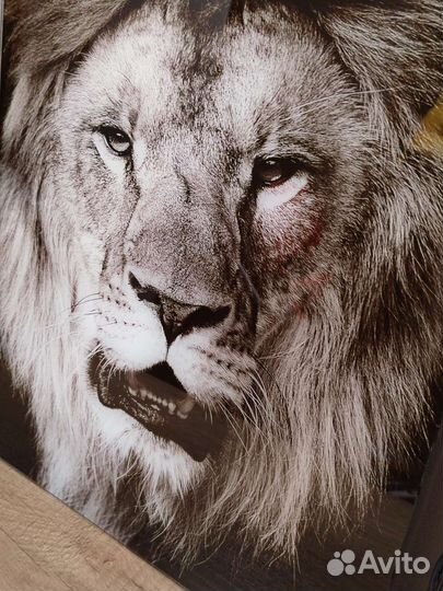 Картина на стекле Лев