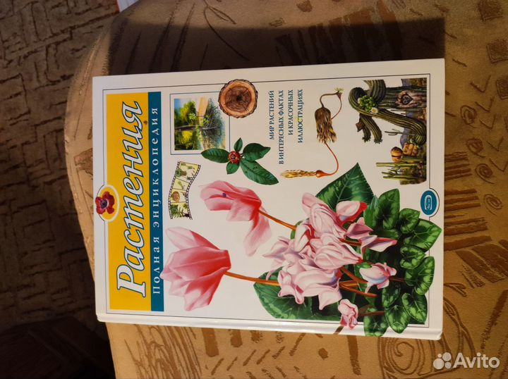 Энциклопедия о растениях