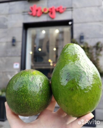 Авокадо свежее из Таиланда
