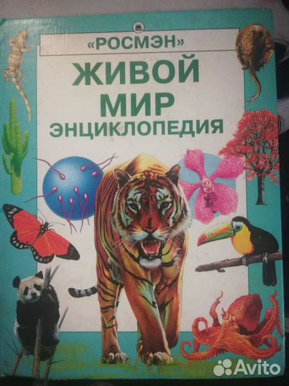 Детские энциклопедии