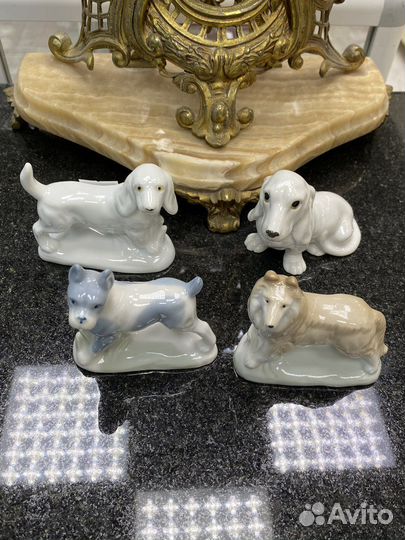 Собаки Германия