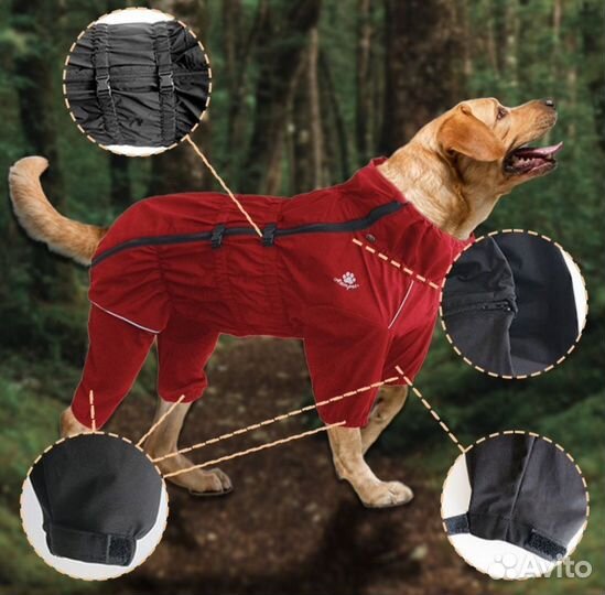 Комбинезон для собаки