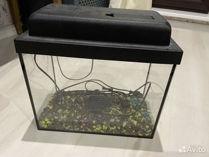 Аквариум