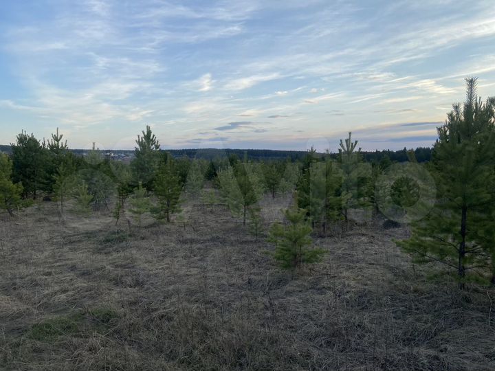 Участок 14 сот. (ИЖС)