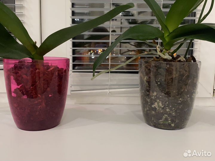 Кашпо под орхидеи