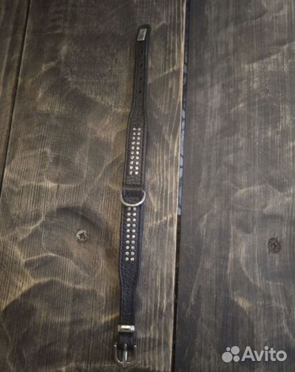 Ошейник для маленькой собаки или кошки