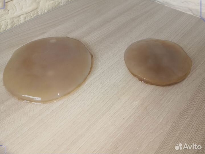 Чайный гриб