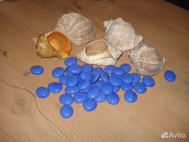 Ракушки и камушки