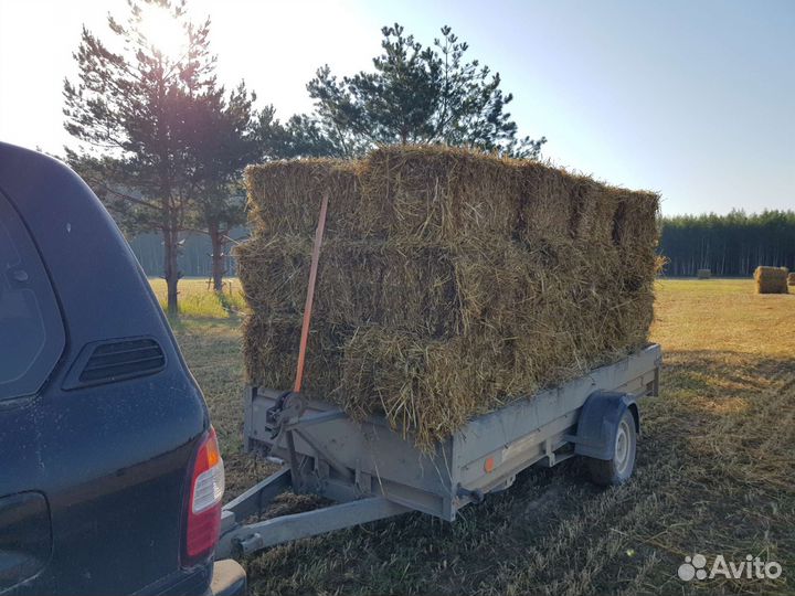 Солома пшеничная в тюках, сено, сенаж