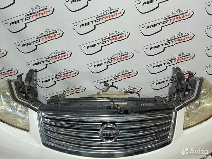 Nosecut nissan infiniti fuga M35 M45 GY50 PNY50 PY