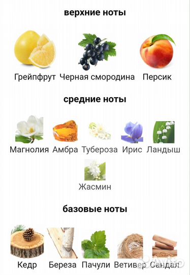 Tiziana terenzi Tuttle