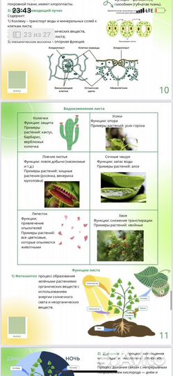 Конспекты по биологии