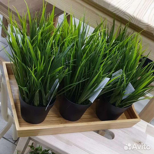 Растения фейка искусственные IKEA и кашпо