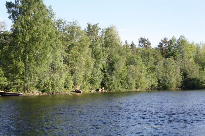 Участок 15 сот. (ИЖС)