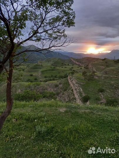 Экскурсии по Дагестану