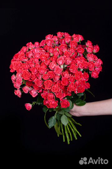 Роза кустовая сорт chery kheops