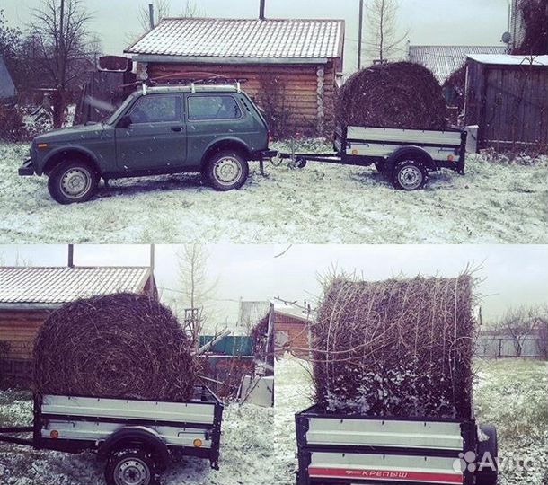 Лидирующая площадка прицепов в городе