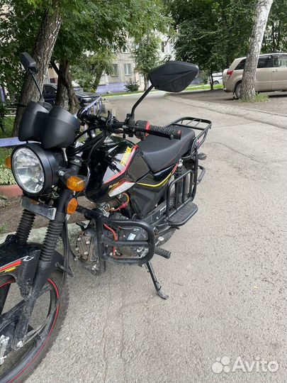 Alpha Tourist Max (Limited Edition)