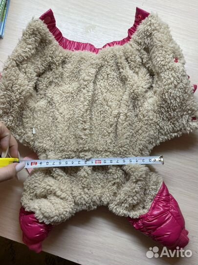 Одежда для собак