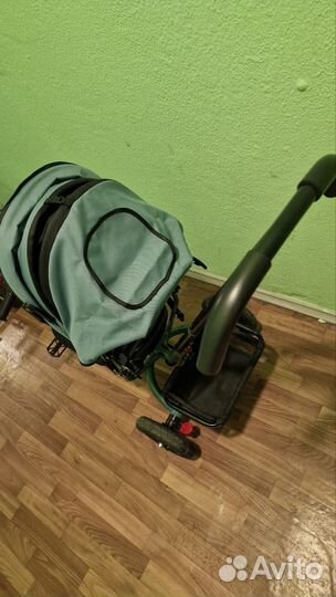 Детский велосипед Capella Action Trike