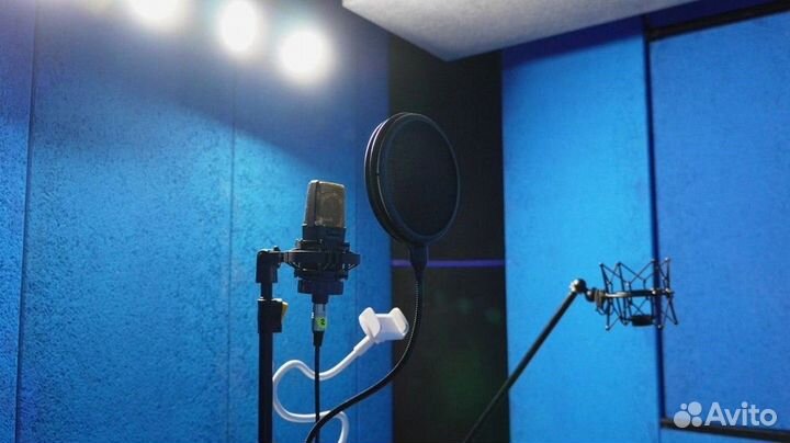 Аранжировка на заказ/написать песню