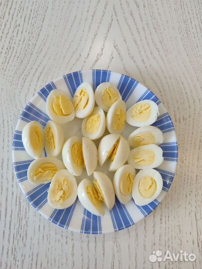 Яйца перепелиные, куриное