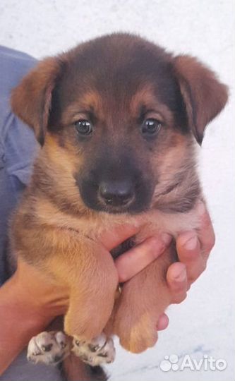 Спасите Прошу