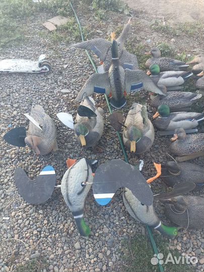 Чучела уток Кряквы Спорт пласт альфа