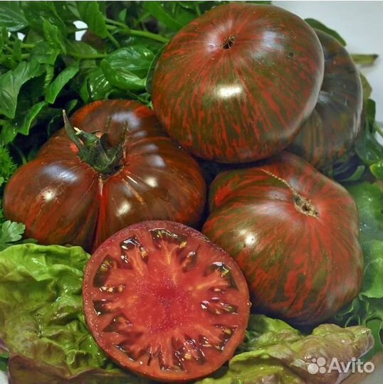 Семена томата Полосатый шоколад