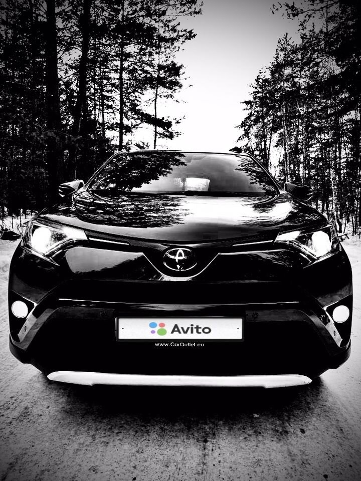 Toyota RAV4: фото владельца
