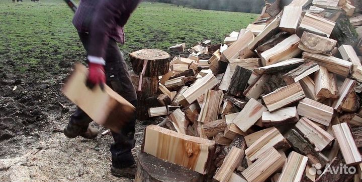 Дрова осина
