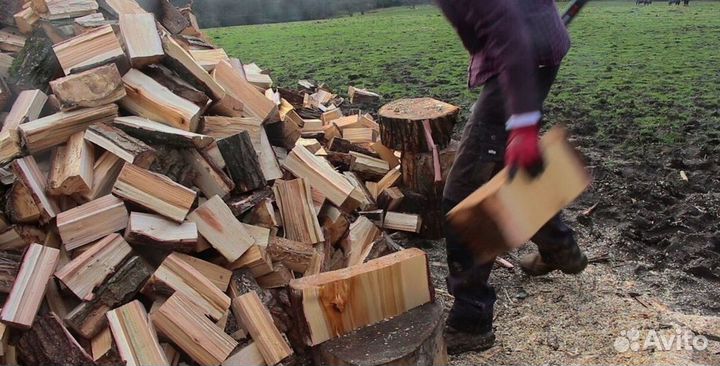 Дрова без гнили