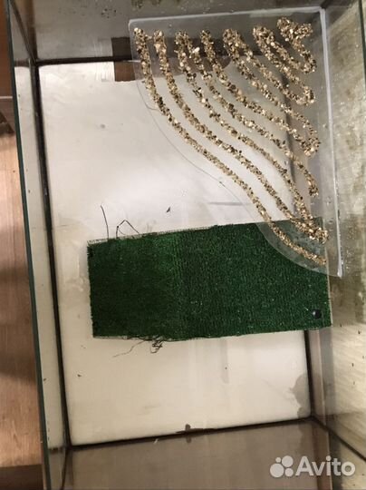 Аквариум для черепах