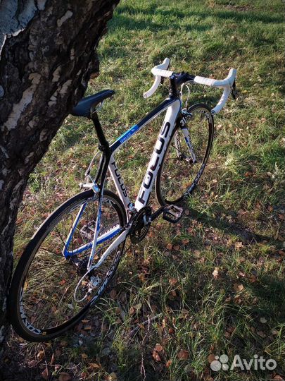 Focus Izalco pro (56)