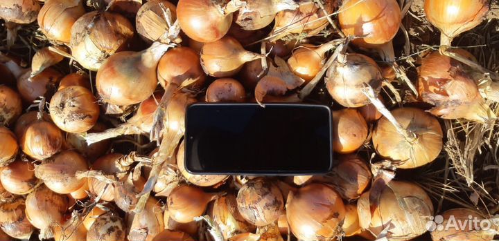 Лук Калибра 4+6+