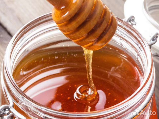 Свежий мед 2023