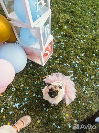 Платье для собак