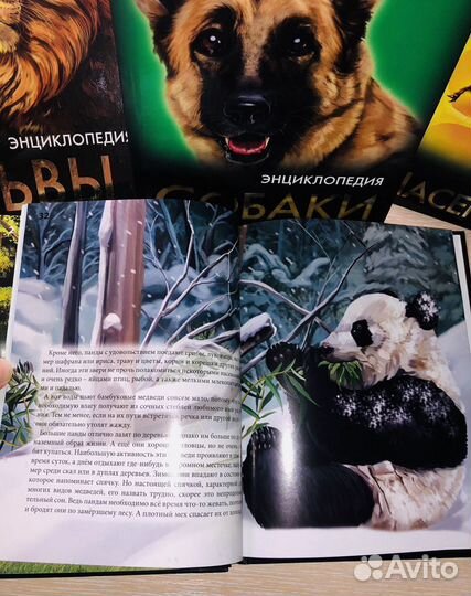 Новые книги/энциклопедия /4 шт