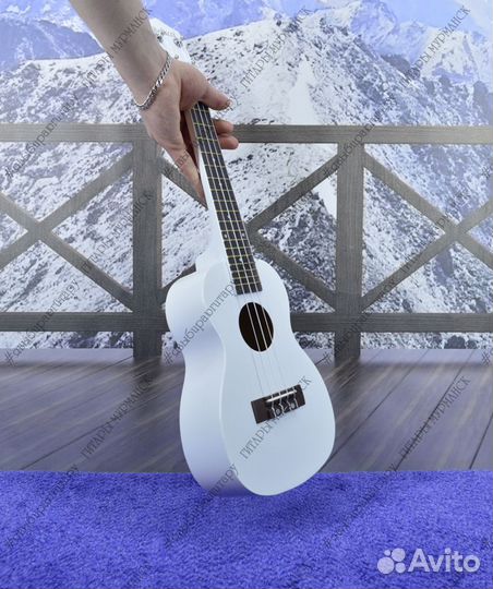 Укулеле - концерт (новая), комплект