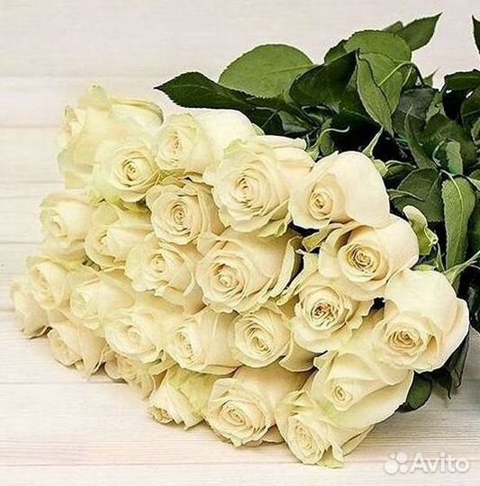 Длинные высокие розы 110 150 160 180 200 см