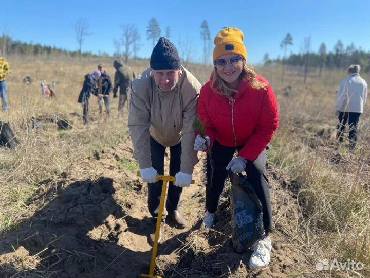 Разнорабочий в лес