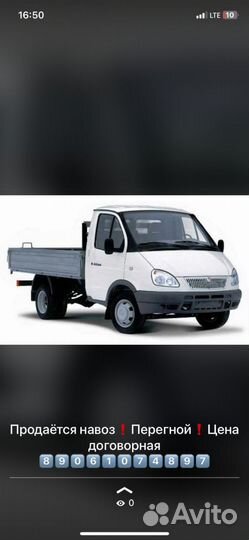 Перегной новоз