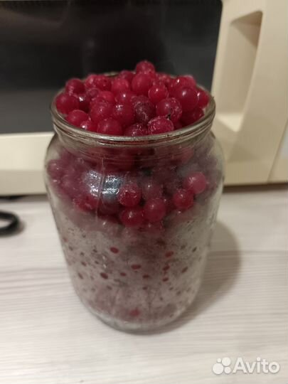 Калина ягоды