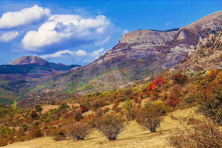 Участок 19,4 сот. (ИЖС)