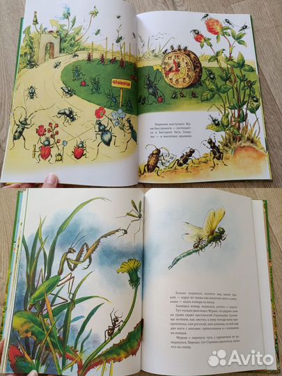 Бианки и Чарушин книги с рисунками