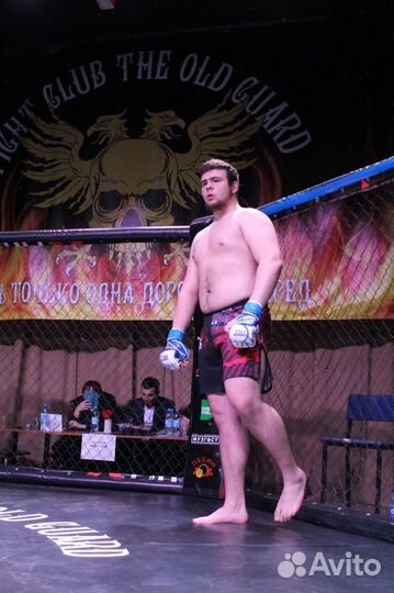 Тренер по mma