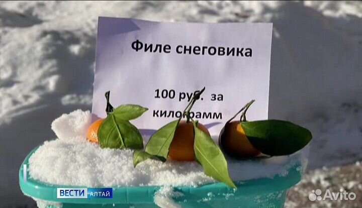 Мясо снеговика