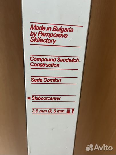 Горные лыжи
