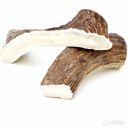 Лакомства для собак «Рога лося»