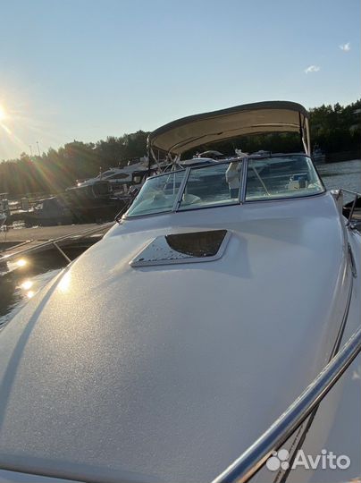 Sea Ray Sundancer 250